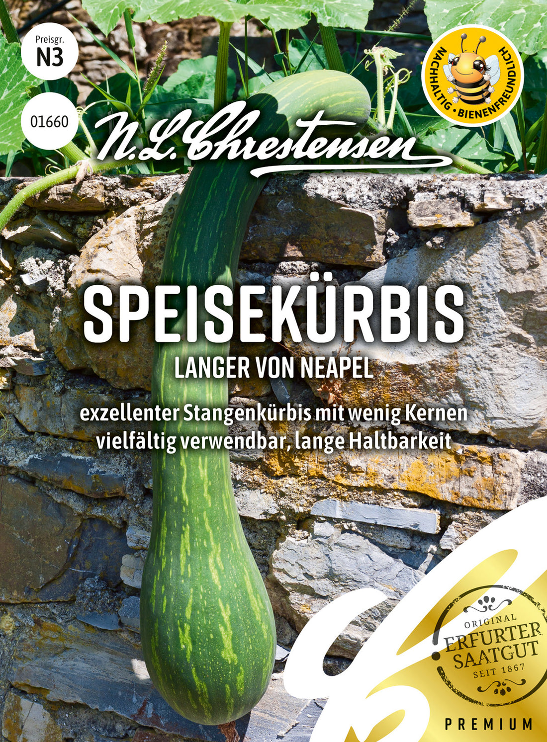 N.L. Chrestensen Speisekürbis AV Langer von Neapel