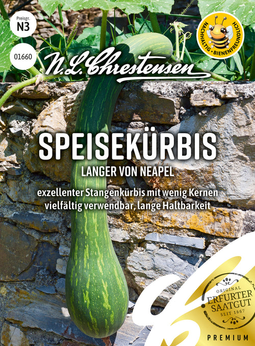 N.L. Chrestensen Speisekürbis AV Langer von Neapel