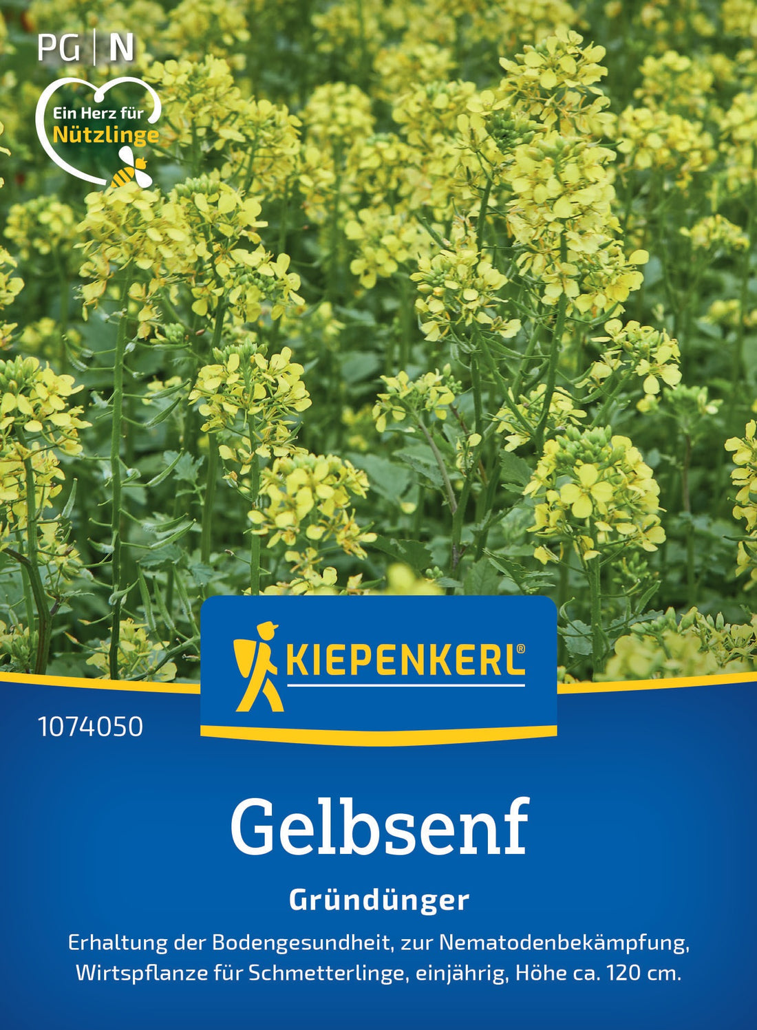 Kiepenkerl Gründünger Gelbsenfsamen Weißsamiger Senf Loses Saatgut
