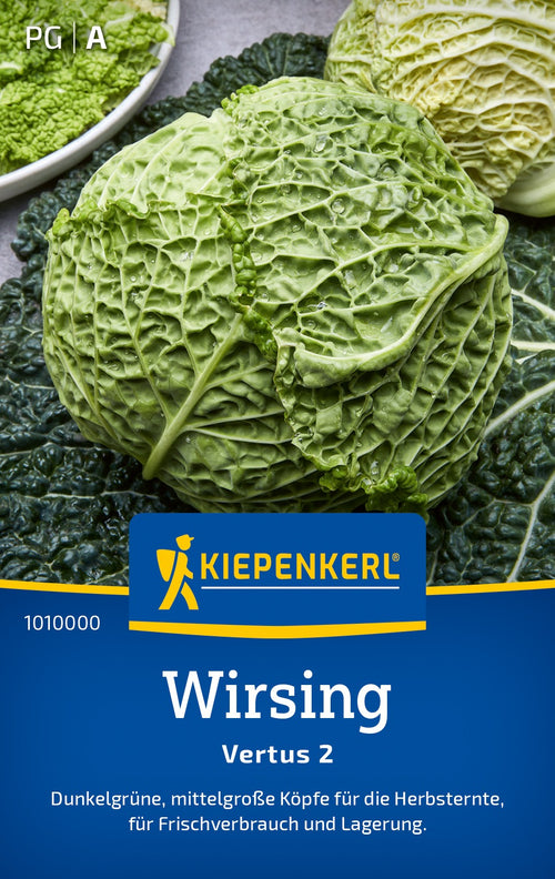 Kiepenkerl Wirsing Vertus 2