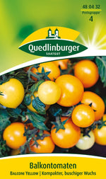 Quedlinburger Cherrytomate Balconi Yellow