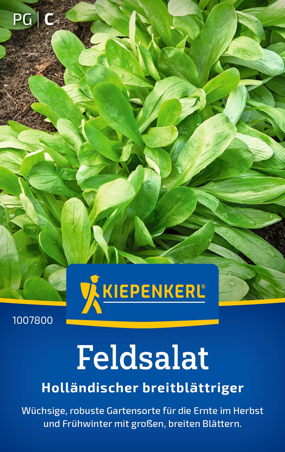Kiepenkerl Feldsalat Holländischer breitblättriger