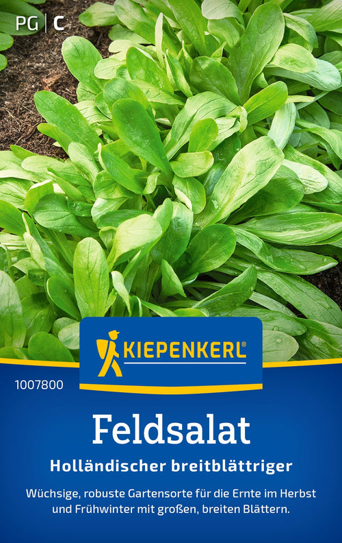Kiepenkerl Feldsalat Holländischer breitblättriger