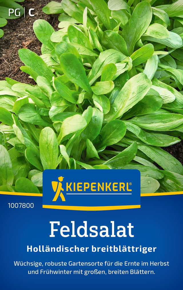 Kiepenkerl Feldsalat Holländischer breitblättriger