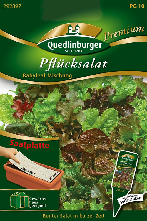 Quedlinburger Pflücksalat Babyleaf Mischung Saatplatte