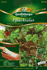 Quedlinburger Pflücksalat Babyleaf Mischung Saatplatte