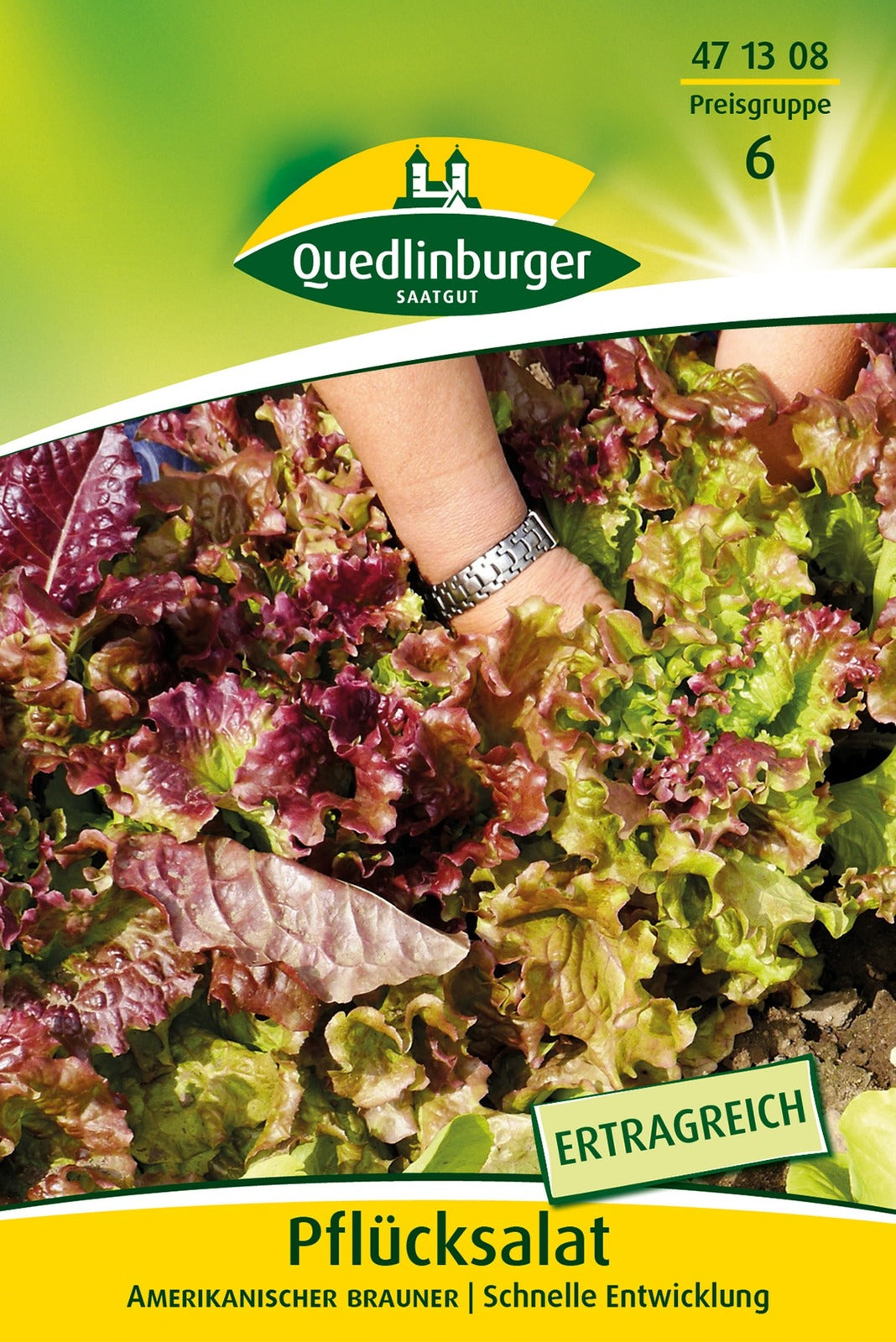 Quedlinburger Pflück-& Schnittsalat Amerikanischer brauner