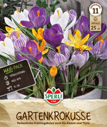 Maxi Gartenkrokus Mix