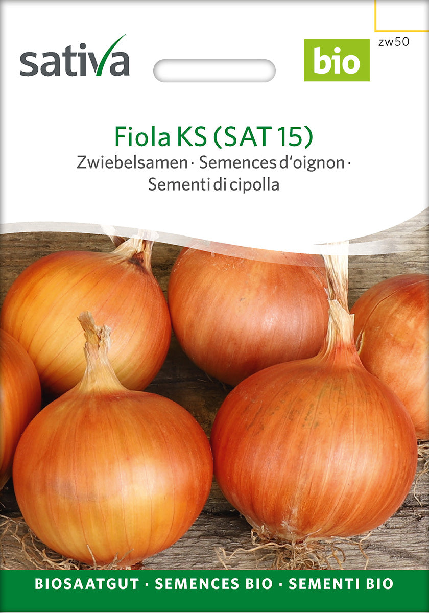 Sativa Zwiebelsamen Fiola KS (SAT 15)