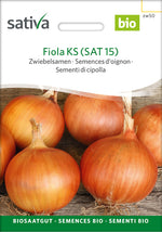 Sativa Zwiebelsamen Fiola KS (SAT 15)