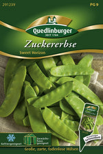 Quedlinburger Zuckererbse Sweet Horizon