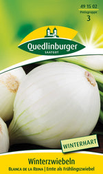 Quedlinburger Zwiebel Blanca de la Reina
