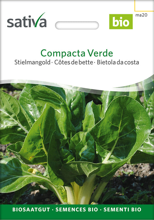 Sativa Stielmangold Compacta Verde