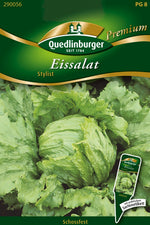 Quedlinburger Eissalat Stylist