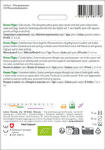 Sativa Datteltomate Green Tiger