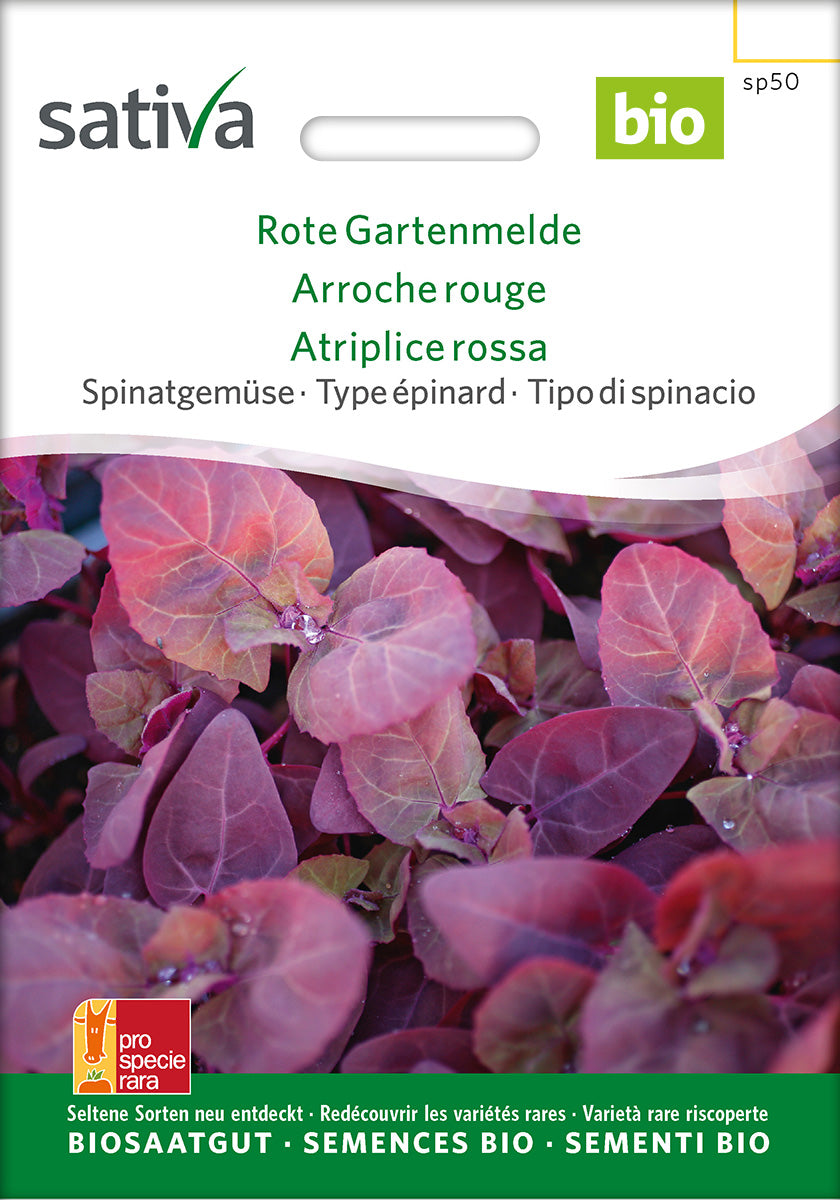 Sativa Spinatgemüse Rote Gartenmelde