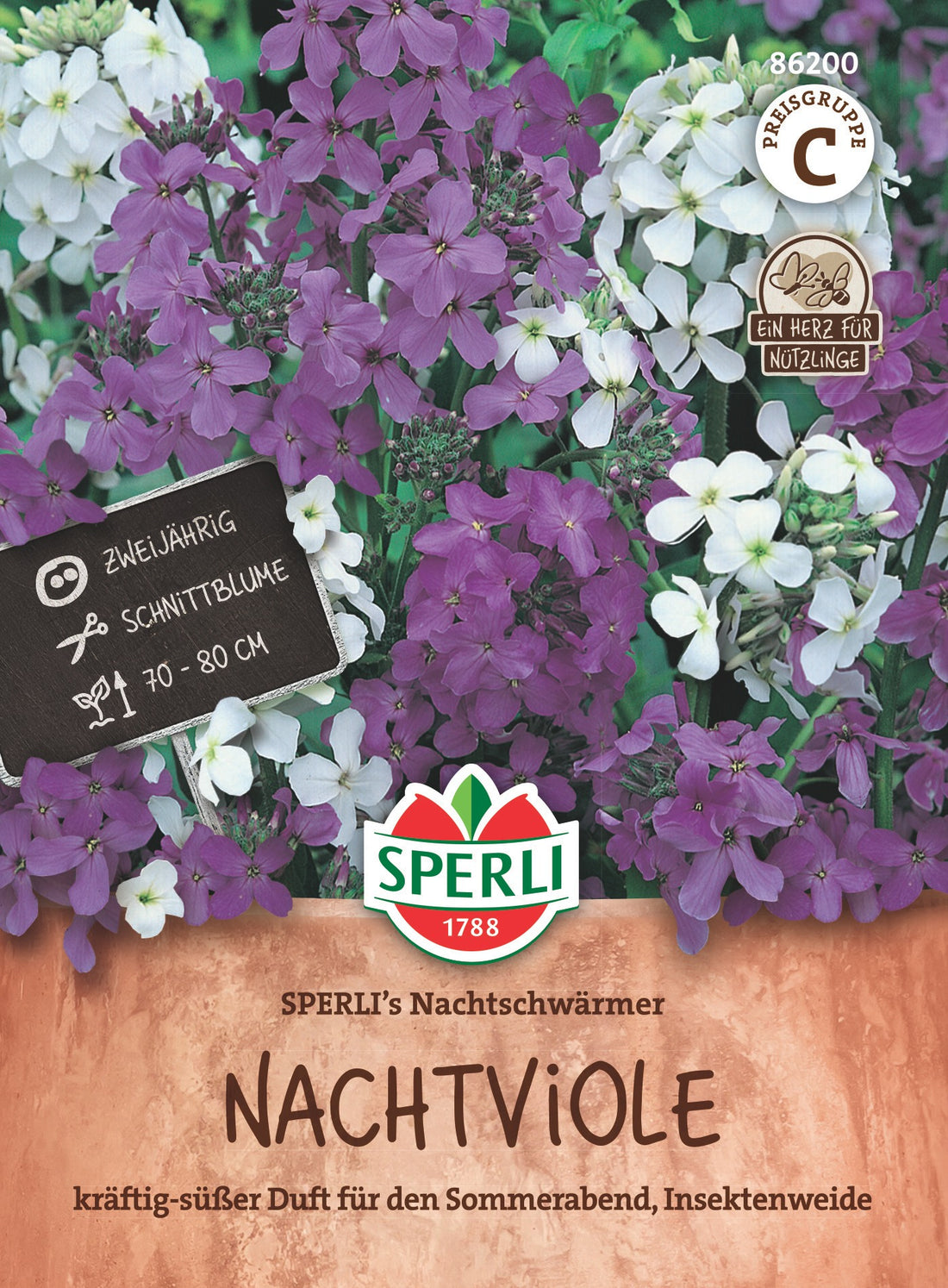 SPERLI Nachtviole SPERLI's Nachtschwärmer