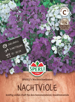 SPERLI Nachtviole SPERLI's Nachtschwärmer