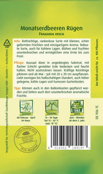 Quedlinburger Monatserdbeere Rügen