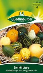 Quedlinburger Zierkürbis kleinfrüchtige Mischung