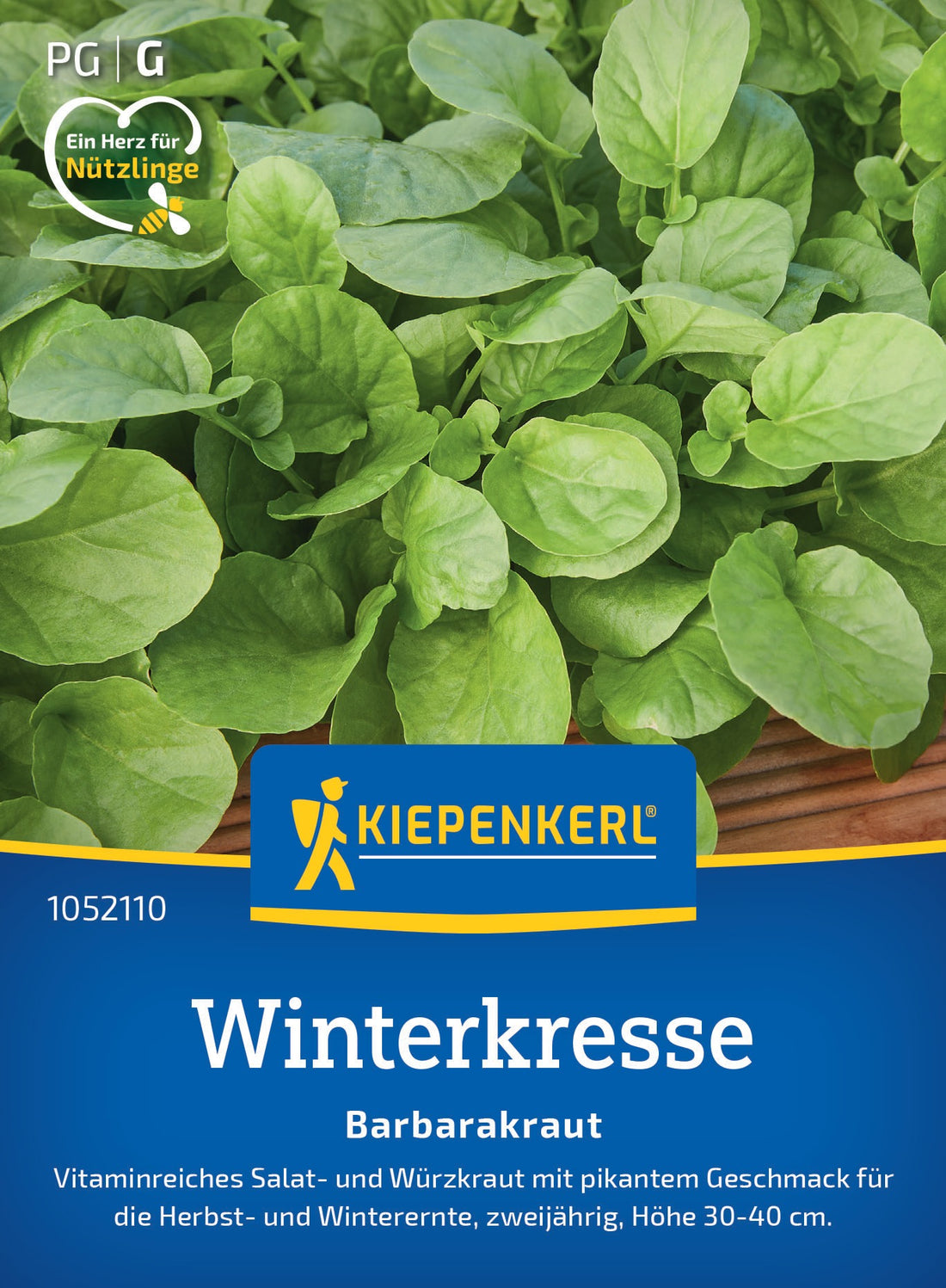 Kiepenkerl Winterkresse Barbarakraut