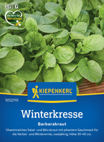 Kiepenkerl Winterkresse Barbarakraut