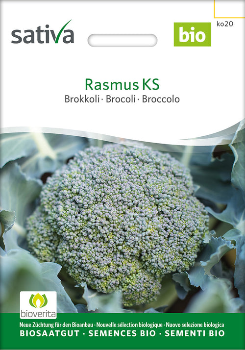 Sativa Brokkoli Rasmus KS