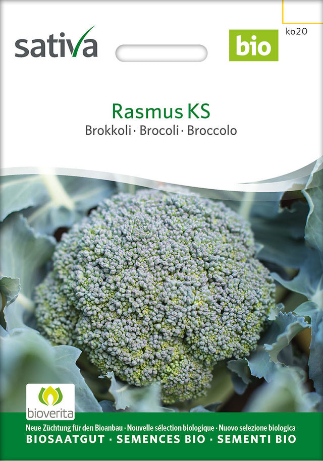 Sativa Brokkoli Rasmus KS