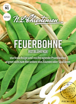 N.L. Chrestensen Feuerbohne Rotblühende