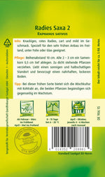 Quedlinburger Radieschen Saxa 2