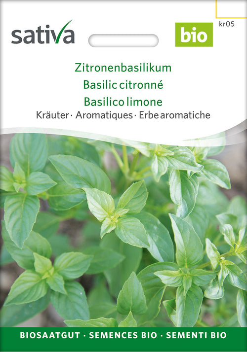 Sativa Zitronenbasilikum