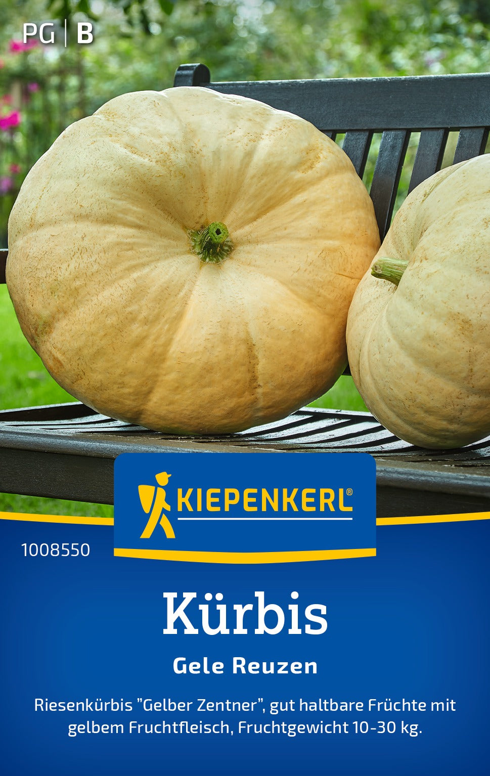 Kiepenkerl Kürbis Gele Reuzen