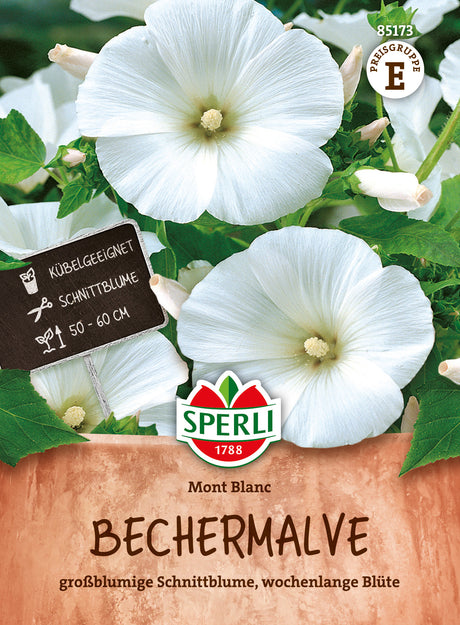 SPERLI Bechermalve Mont Blanc