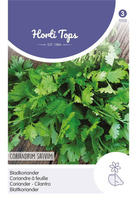 Horti Tops Koriander Blattkoriander