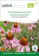 Sativa Echinacea angustifolia Schmalblättriger Sonnenhut