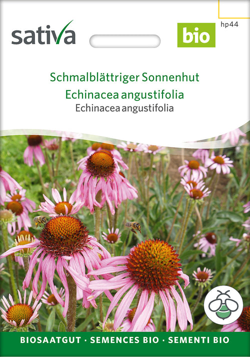 Sativa Echinacea angustifolia Schmalblättriger Sonnenhut