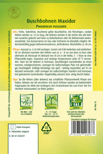 Quedlinburger Buschbohne Maxidor