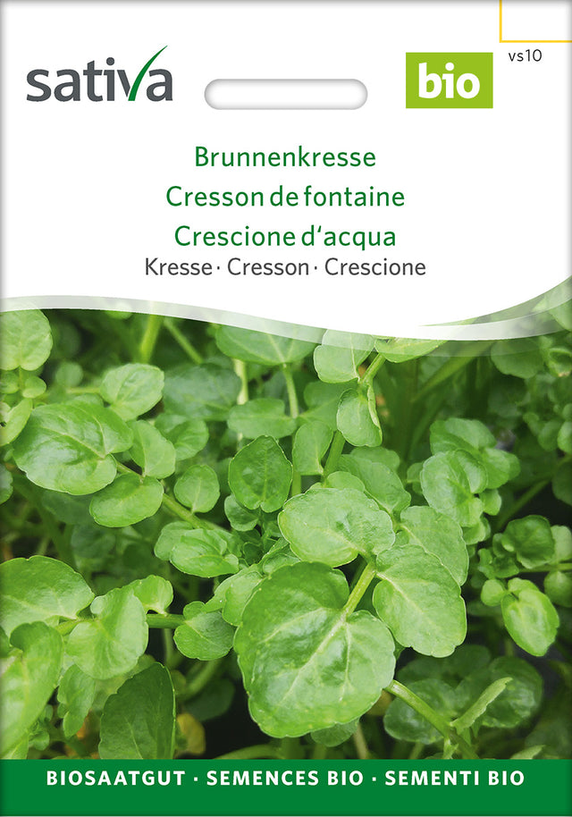 Sativa Kresse Brunnenkresse