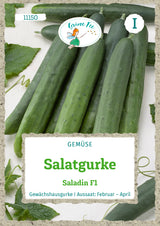 Grüne Fee Salatgurken Saladin F1