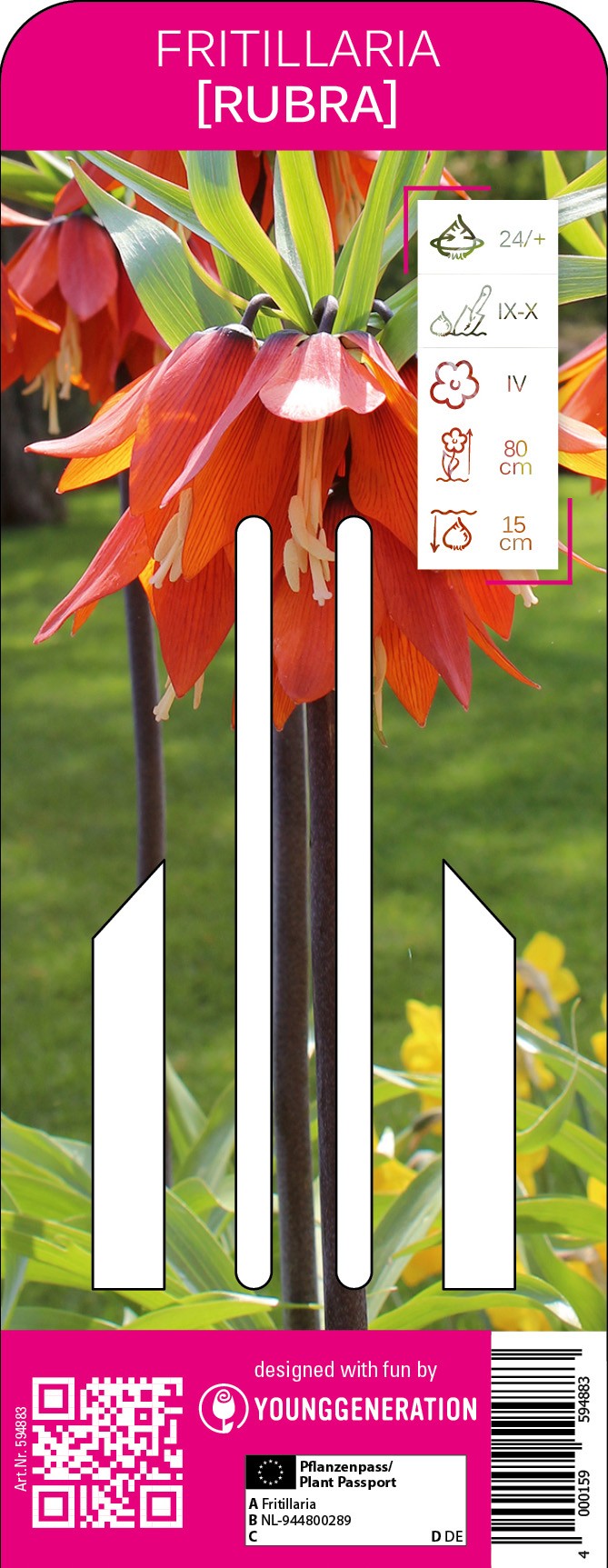 Kaiserkrone Rubra