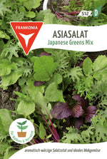Frankonia Samen Asia-salat Japanese Greens Mix