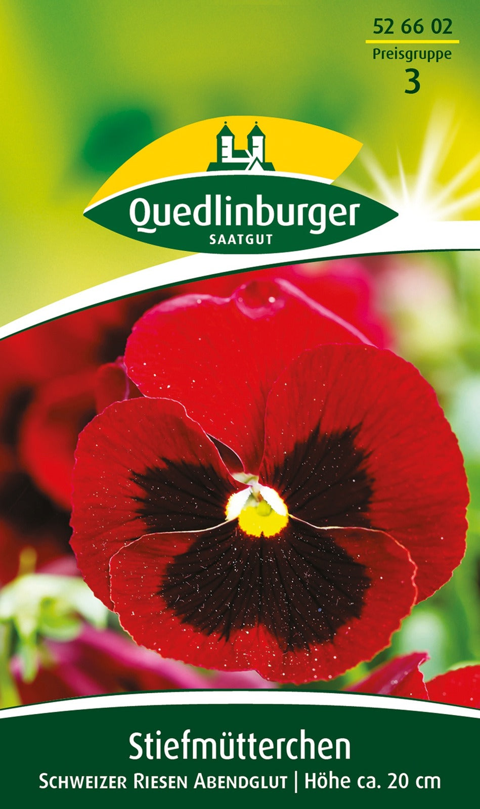 Quedlinburger Stiefmütterchen Schweizer Riesen Abendglut