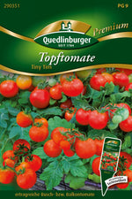 Quedlinburger Cherrytomate Tiny Tim