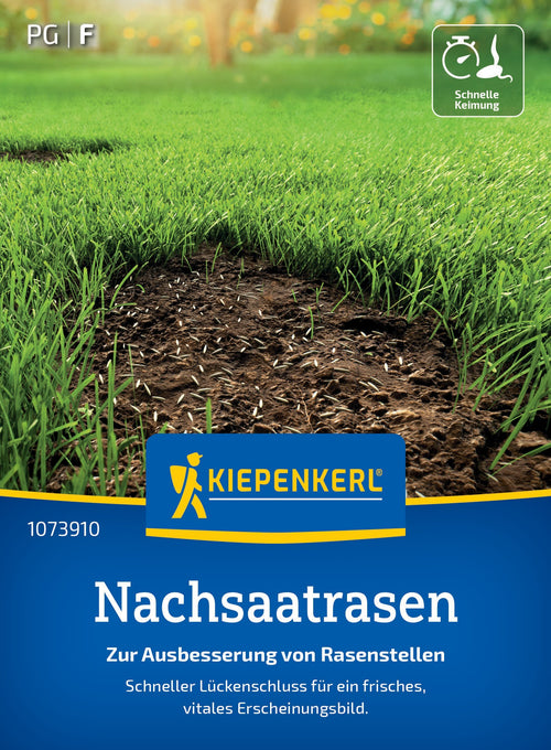 Nachsaatrasen zur Ausbesserung von Rasenstellen, 25 g