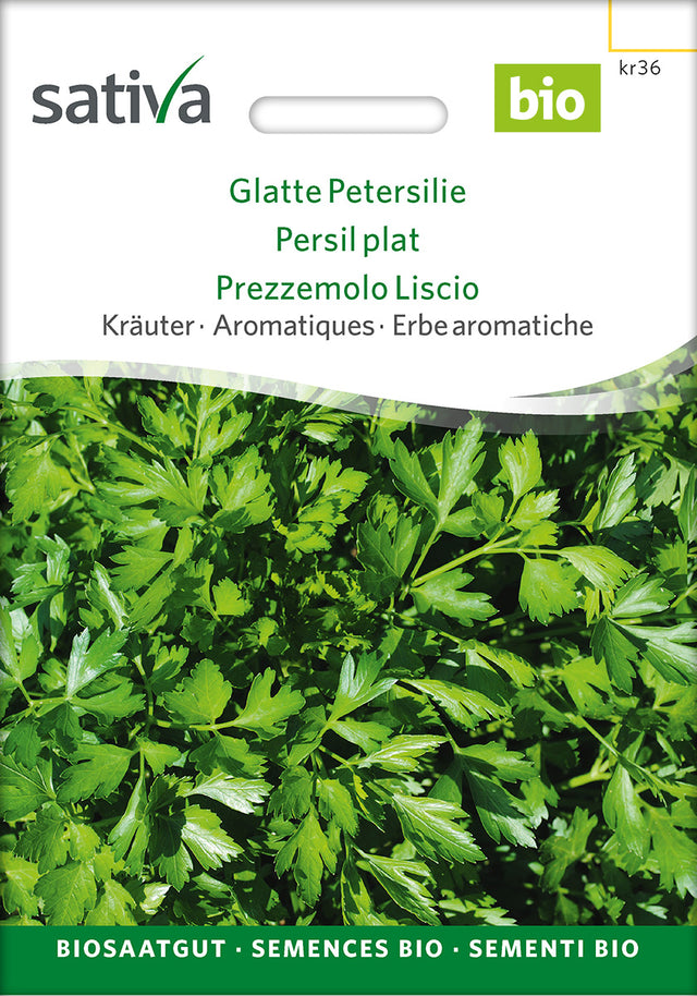 Sativa Glatte Petersilie Glatte Petersilie