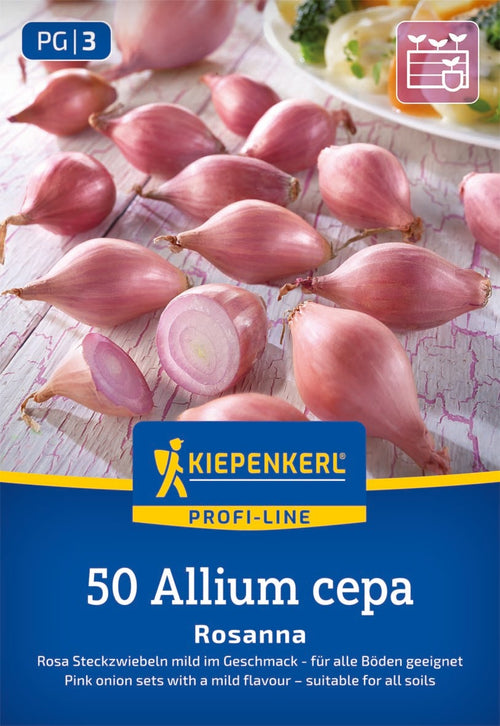 Kiepenkerl Steckzwiebel Rosanna 50 Stück