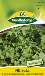 Quedlinburger Pflück-& Schnittsalat A couper feuille de chene blonde a graine noire