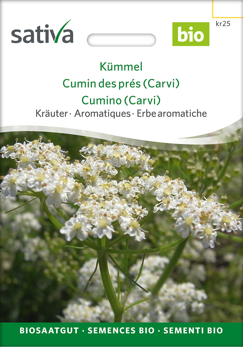 Sativa Kümmel