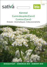 Sativa Kümmel