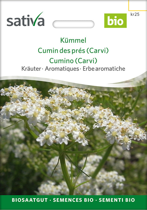 Sativa Kümmel